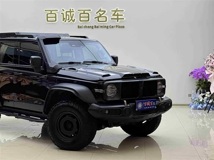 Фото 4 - Tank 300