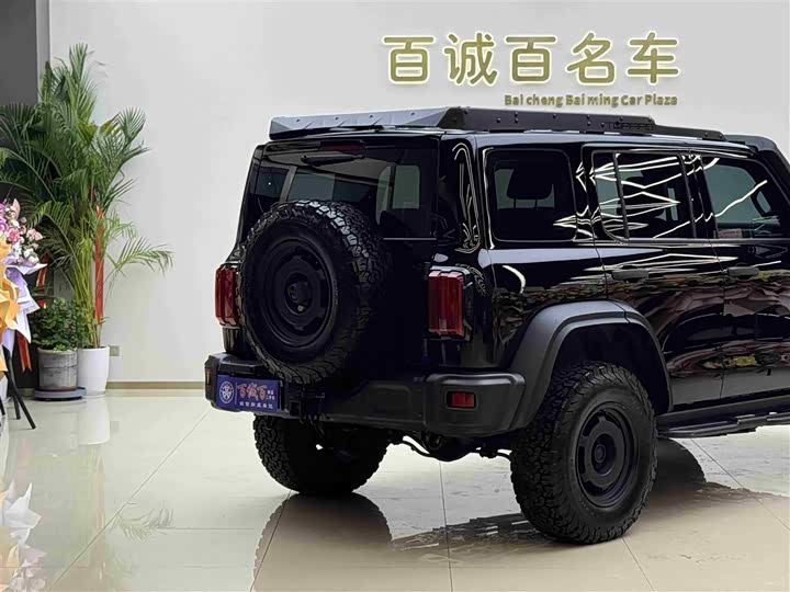 Фото 6 - Tank 300