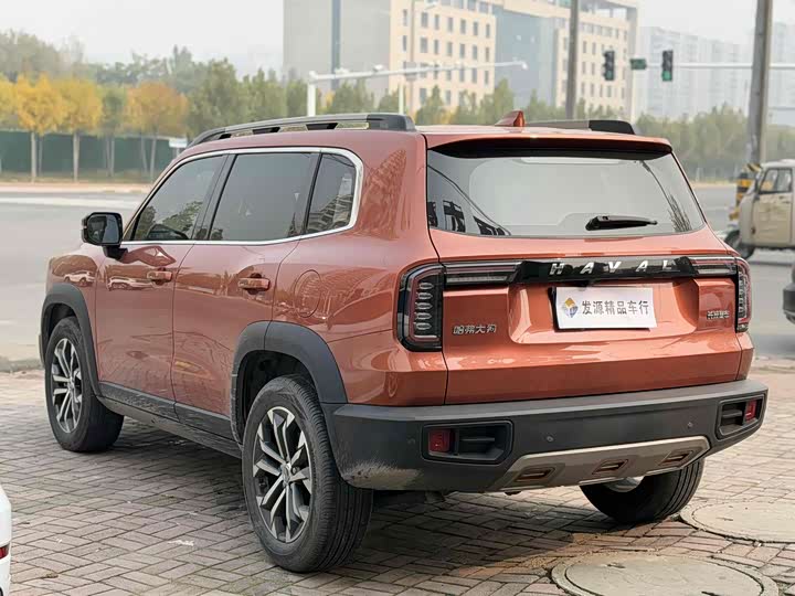 Фото 10 - Haval Dargo