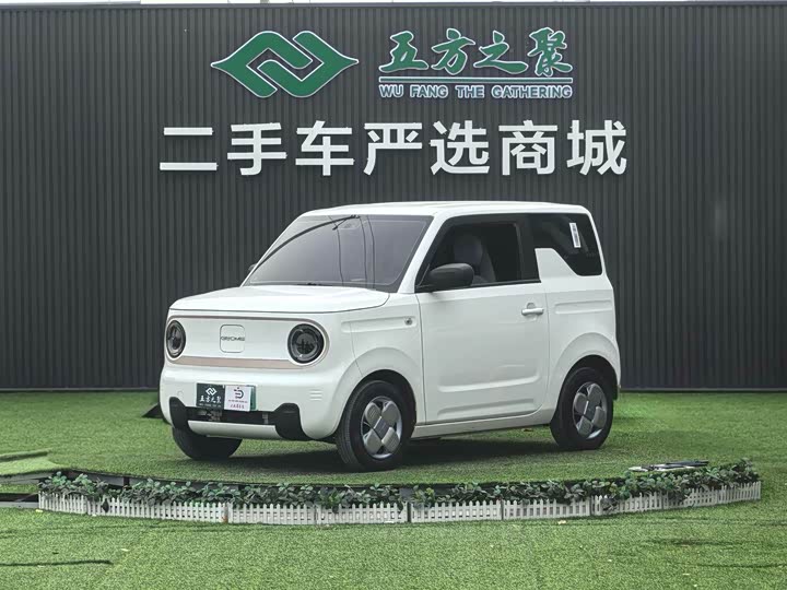 Фото 1 - Geely Galaxy Panda Mini