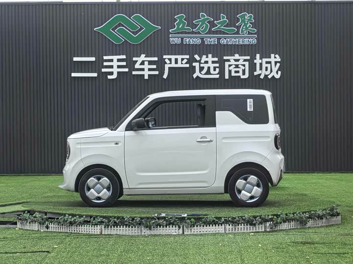 Фото 15 - Geely Galaxy Panda Mini