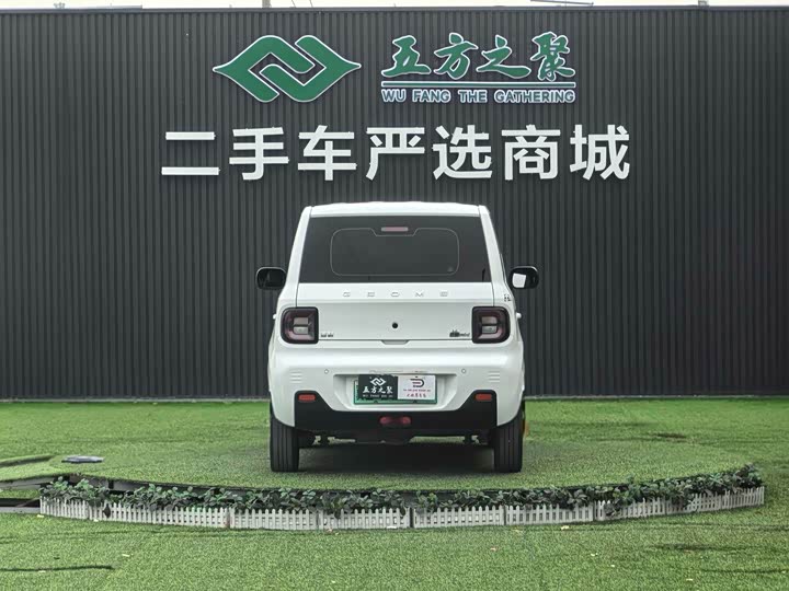 Фото 18 - Geely Galaxy Panda Mini