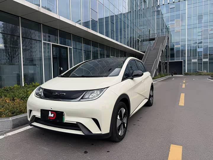 Фото 1 - BYD Dolphin