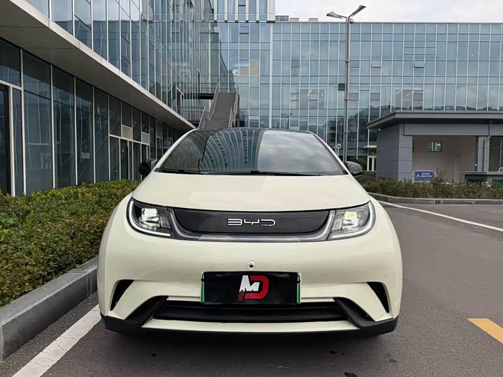 Фото 2 - BYD Dolphin