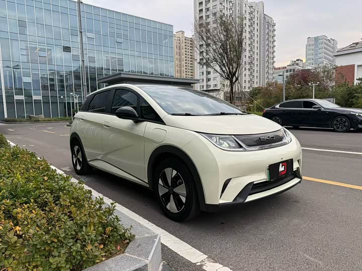 Фото 3 - BYD Dolphin