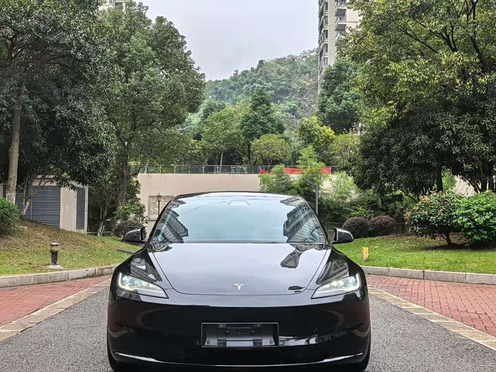 Фото 2 - Tesla Model 3