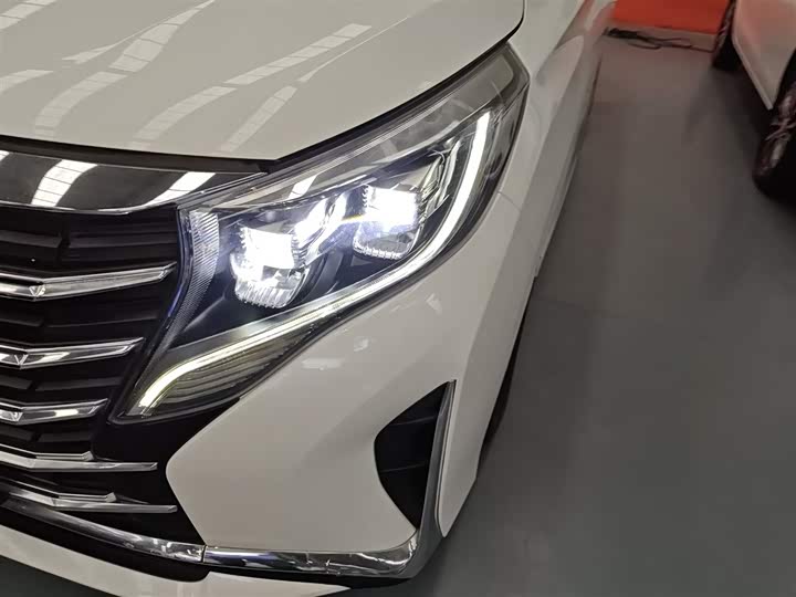 Фото 24 - GAC Trumpchi M8