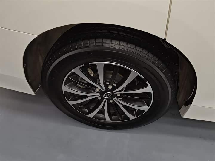 Фото 26 - GAC Trumpchi M8