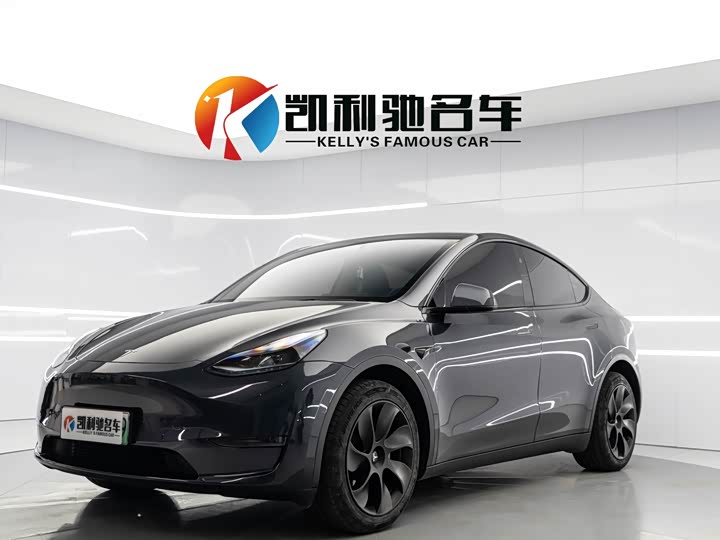 Фото 1 - Tesla Model Y