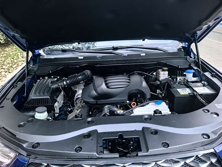 Фото 18 - Great Wall Pao