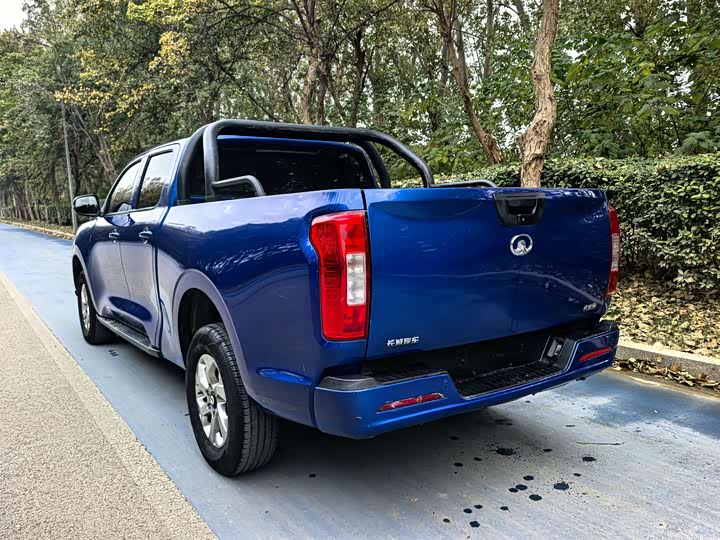 Фото 4 - Great Wall Pao