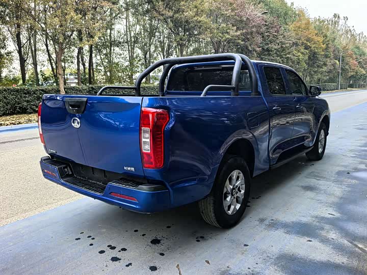 Фото 6 - Great Wall Pao