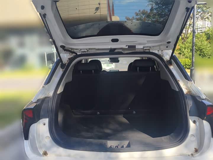 Фото 10 - Hozon V