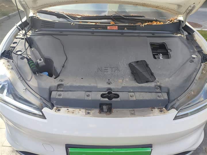 Фото 11 - Hozon V