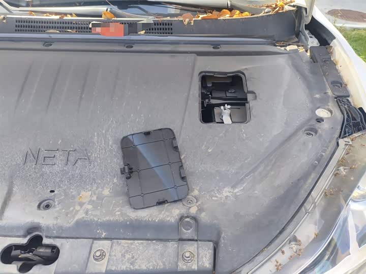 Фото 22 - Hozon V