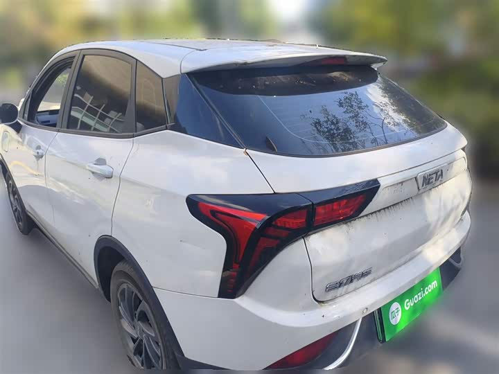 Фото 27 - Hozon V