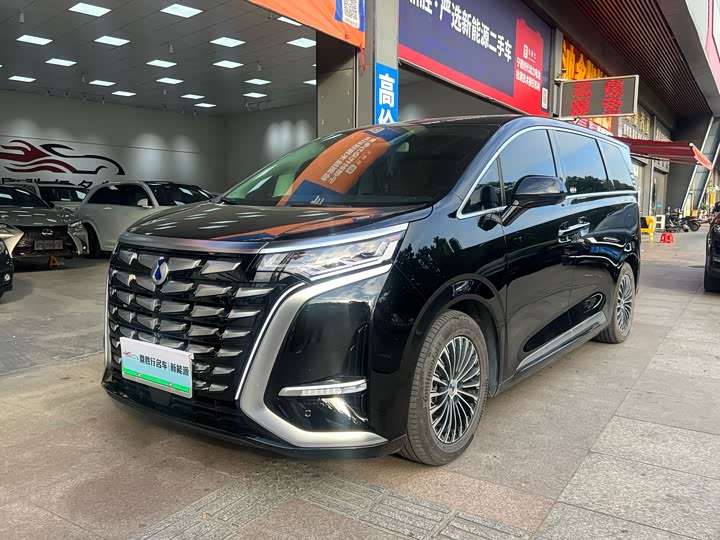 Фото 1 - Denza D9