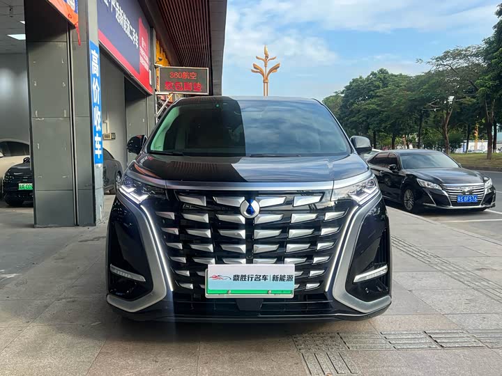 Фото 2 - Denza D9