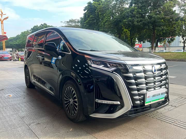 Фото 3 - Denza D9