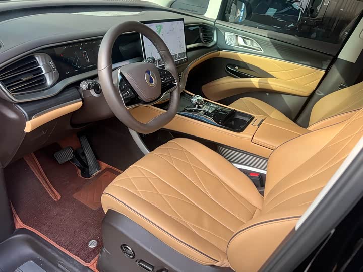 Фото 8 - Denza D9