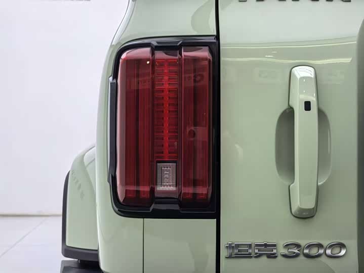 Фото 28 - Tank 300