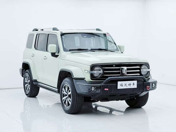 Фото 3 - Tank 300