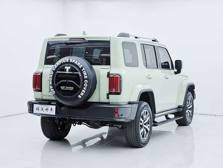 Фото 30 - Tank 300