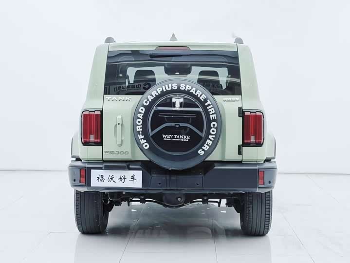 Фото 31 - Tank 300