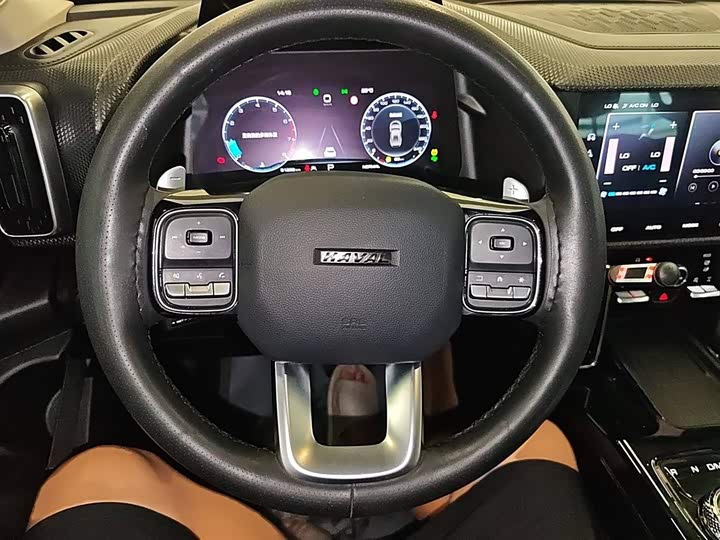 Фото 3 - Haval Dargo