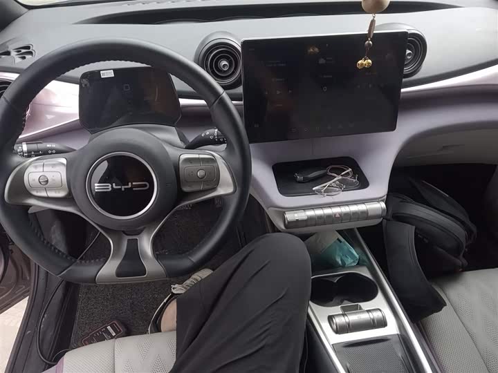 Фото 10 - BYD Dolphin