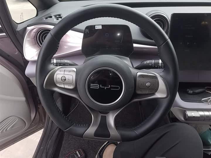 Фото 11 - BYD Dolphin