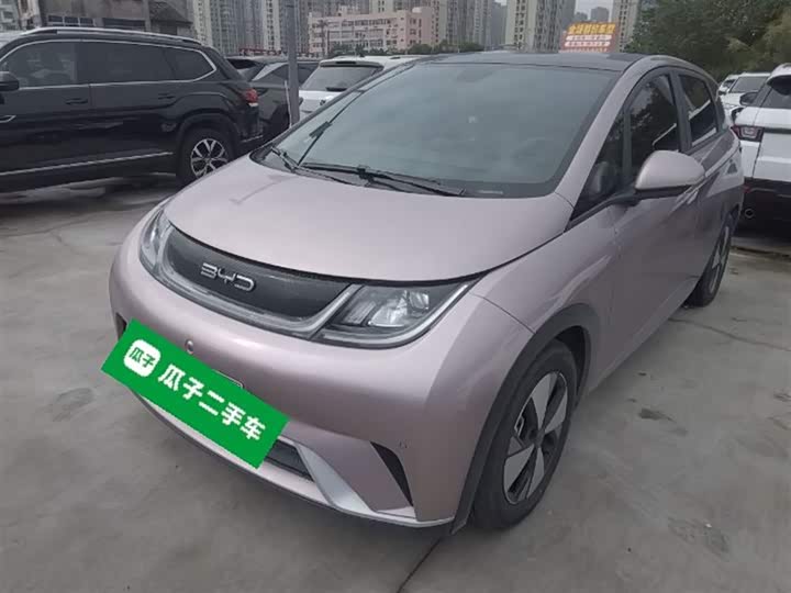 Фото 2 - BYD Dolphin