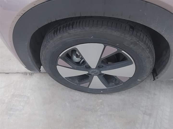 Фото 23 - BYD Dolphin