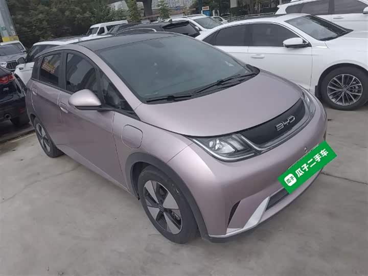 Фото 4 - BYD Dolphin