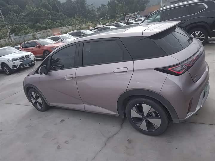 Фото 5 - BYD Dolphin