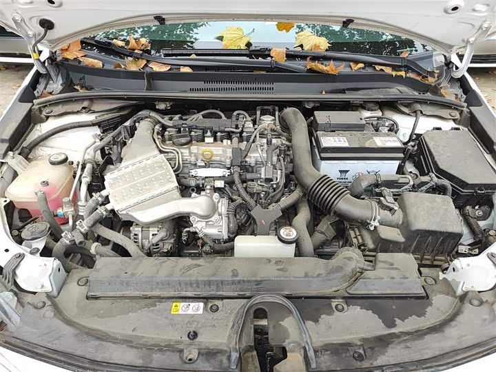 Фото 20 - Toyota Levin