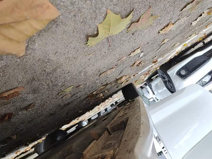 Фото 21 - Toyota Levin