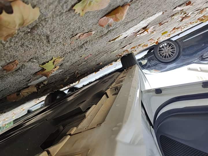 Фото 22 - Toyota Levin