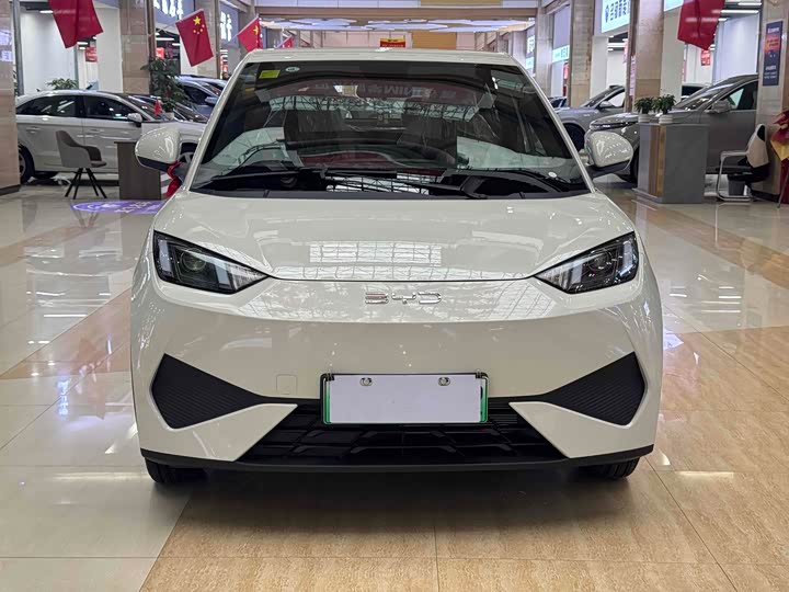 Фото 2 - BYD Seagull