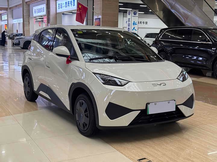 Фото 3 - BYD Seagull