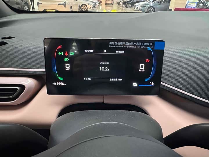 Фото 4 - BYD Seagull