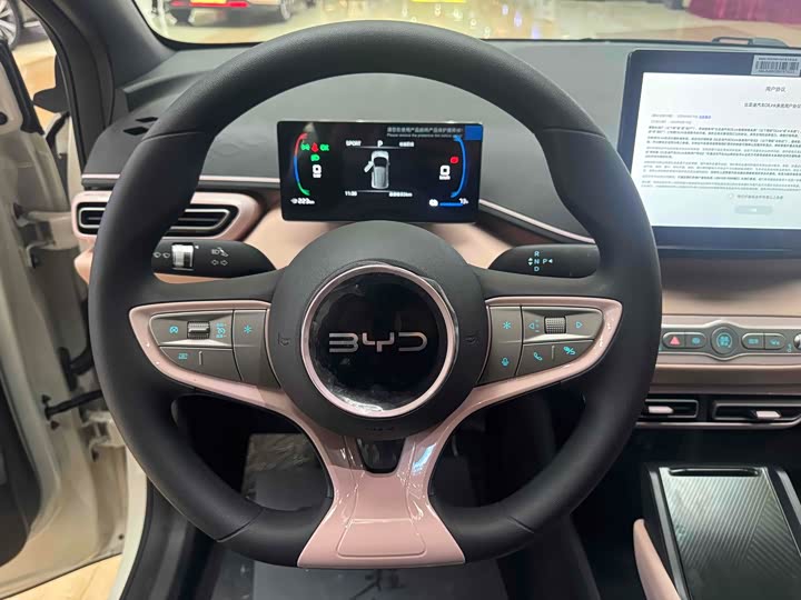 Фото 5 - BYD Seagull