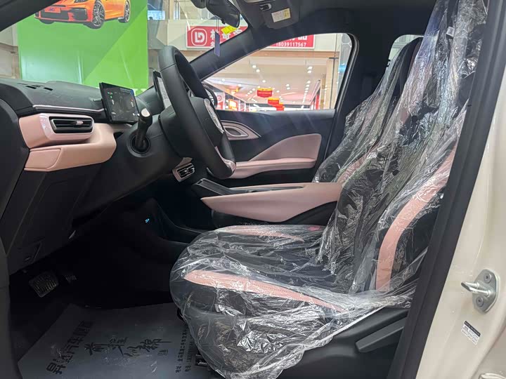 Фото 7 - BYD Seagull