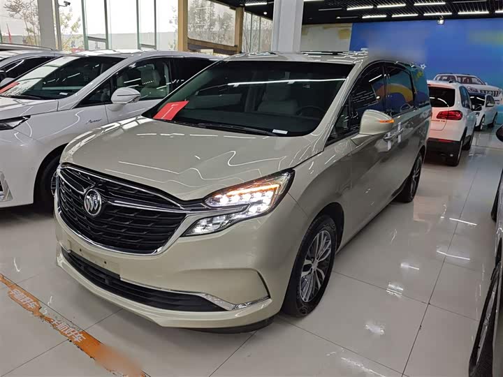 Фото 1 - Buick GL8 ES