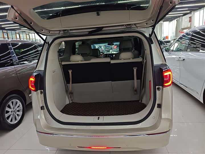 Фото 19 - Buick GL8 ES