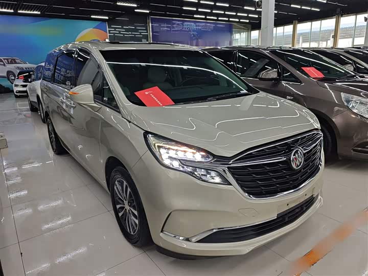 Фото 4 - Buick GL8 ES