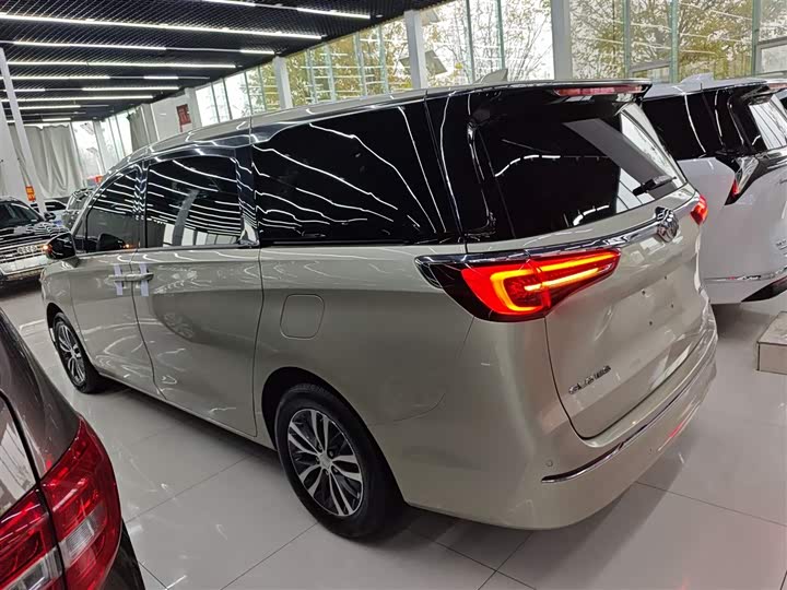 Фото 5 - Buick GL8 ES