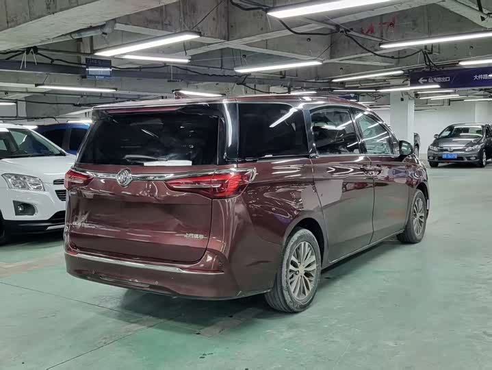 Фото 2 - Buick GL8 ES