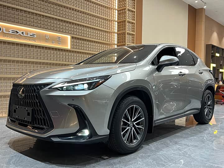Фото 1 - Lexus NX