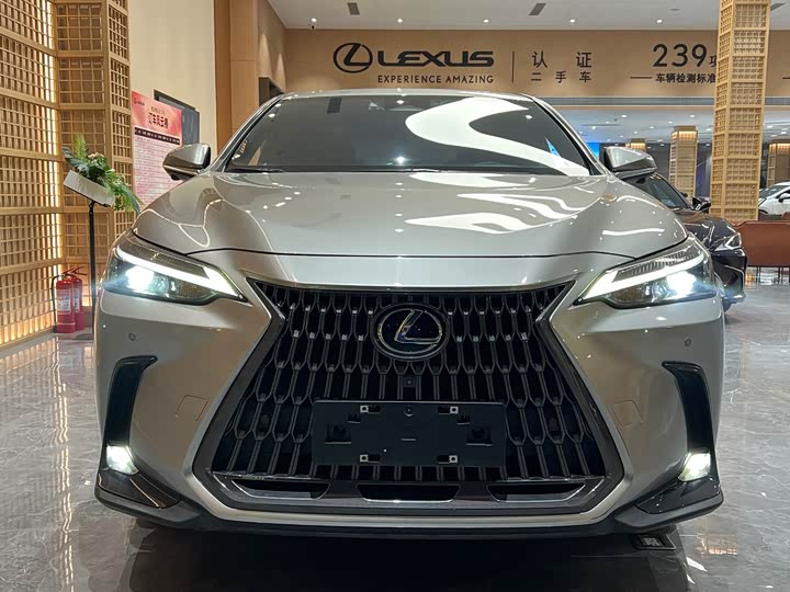 Фото 13 - Lexus NX